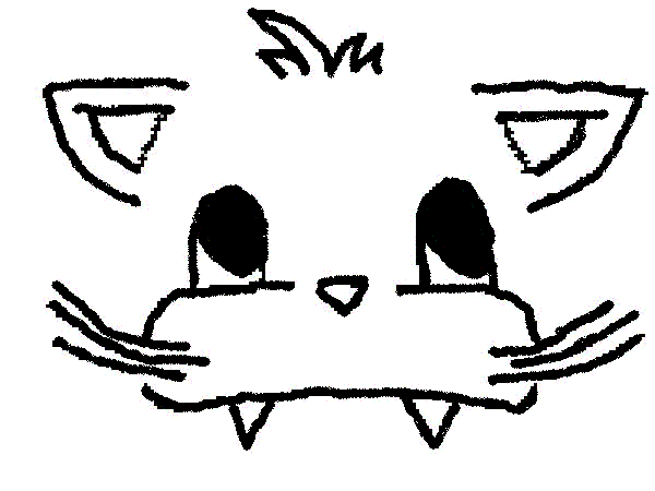 le chat